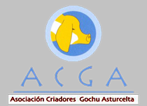 Buenos precios y ofertas para profesionales, autónomos, pymes y grandes empresas