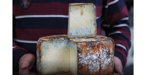 Queso Gamonedo vencedor XXVII Certamen del Quesu de Gamonéu 