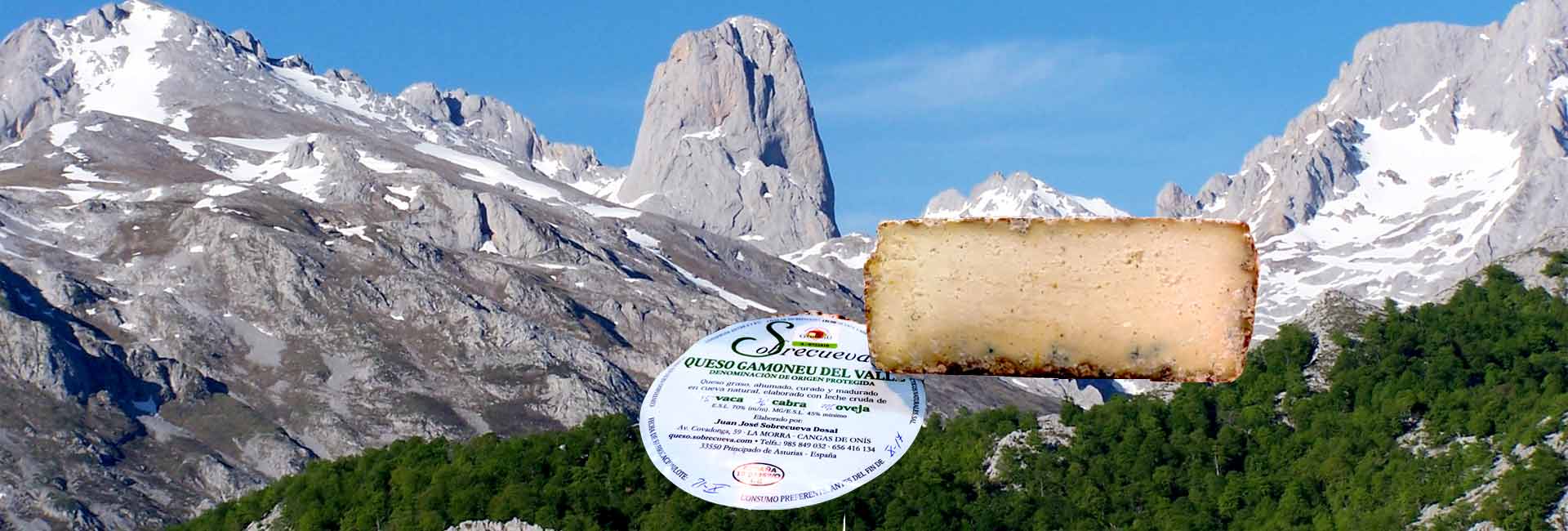 Queso gamoneu o queso gamonedo, de los concejos de Onís y Cangas de Onís en Asturias